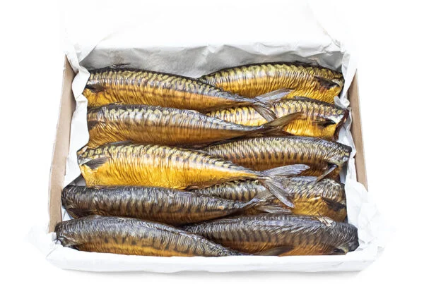 Makrela tusza