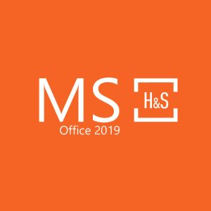 2019hs 800x700