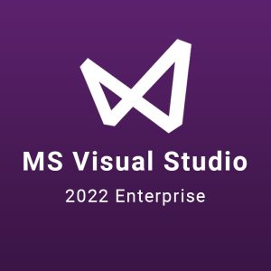  800x700 22msvisualenterprise