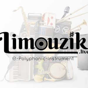 limouzik800