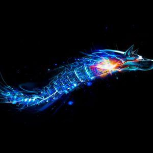 bitdef28 1 1 1 1 1 1 1 1 1 1 2