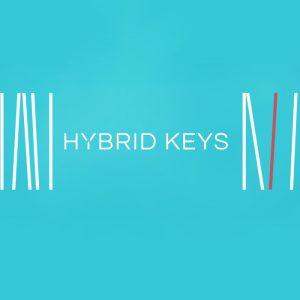  hybridkeys800