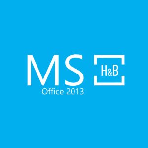 ms2013hb v2 1