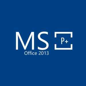 ms2013p v2