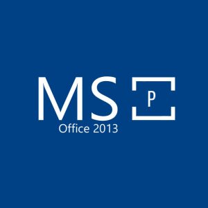 ms2013p v2