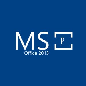 ms2013p v2 1