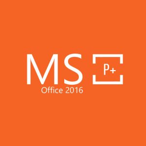 ms2016p 