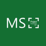 msprojectprofessionalmedium