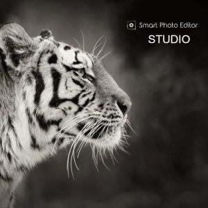  smartphotoeditorstudio 800