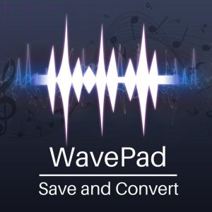  wavepad800