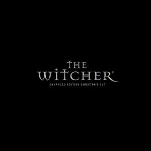 witcher 1 700 2