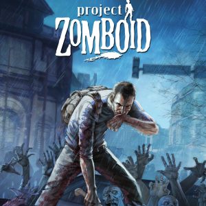 zomb 700 2